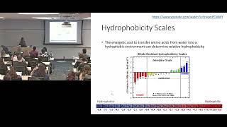 Identifying transmembrane helices with the hydrophobicity scale amp plot [upl. by Attennod]