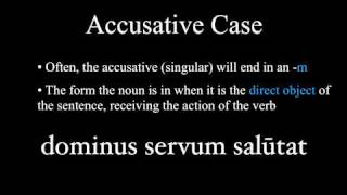 The Nominative and Accusative Cases [upl. by Eilzel]