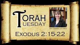 Torah Tuesday  Exodus 21522 [upl. by Eustis]