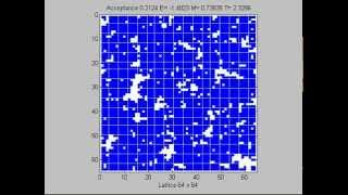 Ising model 2D in MATLAB  Lattice 64 [upl. by Nnyleimaj]