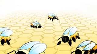 Reproduction and Brood Development  How are different kinds of bees created [upl. by Yhtimit]