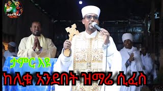 አብሠራ ገብርኤል ለማርያም ሃዘንን የሚያስረሱ ግሩም ዝማሬዎች በላከ ሰላም ክብረሞገስ [upl. by Camilia888]