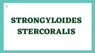 Strongyloides stercoralis  Threadworm  Life Cycle Symptoms Diagnosis Treatment  Nematodes [upl. by Ilsel]