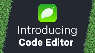 Introducing Code Editor [upl. by Grimaud]