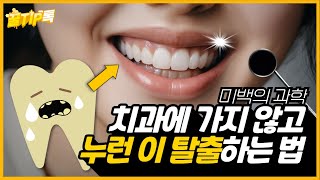 꿀TIP톡 EP5 ‘이것’을 매일 ‘OO’하면 누런 이를 하얗게 만들 수 있습니다 [upl. by Brodeur107]