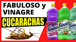 ⭐ FABULOSO y VINAGRE para CUCARACHAS ⭐ [upl. by Dukie]