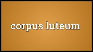 Corpus luteum Meaning [upl. by Aenyl]