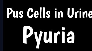 Pus Cells in Urine  What Is Pus Cell amp Pyuria  Causes Symptoms Normal Range Pus Cells In Urine [upl. by Norrek958]