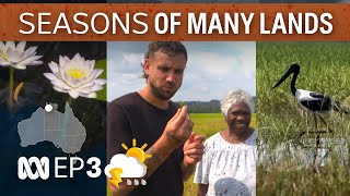 Gunbalanya O  Many Lands  Many Seasons  EP 3  ABC Australia [upl. by Joni]