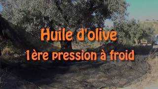 Huile dolive 1ère pression à froid  comment faiton ça [upl. by Alleris]