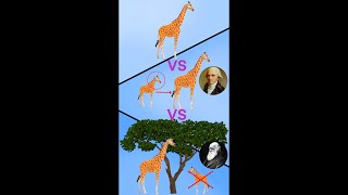 Fijismo vs Lamarck vs Darwin [upl. by Byram]