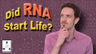 Nucleotides RNA amp the Origin of Life [upl. by Dowski]