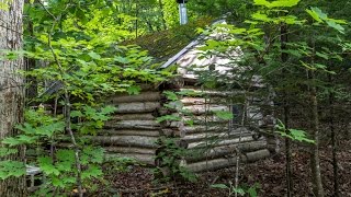 How to Build an Off Grid Log Cabin For FREE [upl. by Favin]