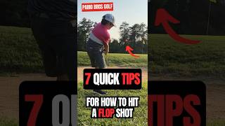 How to hit a FLOP SHOT [upl. by Pappano621]