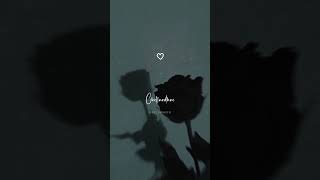 Penne Penne💓AdiyeBachelor MovieTrending shortsLyrics WhatsApp StatusSubscribe for more videos [upl. by Firmin]