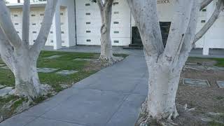 Actor Sorrell Booke Grave Hillside Cemetery Culver City Los Angeles CA USA December 18 2020 [upl. by Leumek]