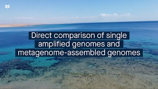 Strengths and weaknesses of the most common genome recovery approaches in environmental microbiology [upl. by Langille]