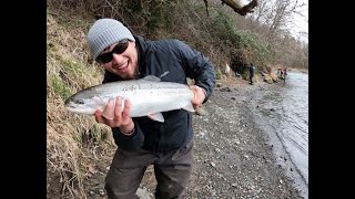 Steelhead FishingCowlitz River [upl. by Helbonna]