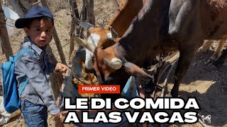 Así Le Di Comida A Las Vacas EN EL RANCHO🐄 [upl. by Aksehcnarf]