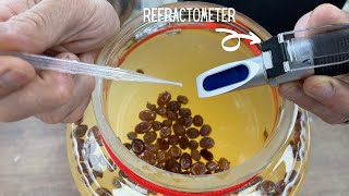 Refractometer How to Use for Specific Gravity in Mash [upl. by Noak]