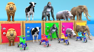 Cow Elephant Lion Gorilla Hippo 3d Animal Long Slide Game Funny 3d Paint Animals Cage Game [upl. by Goody]