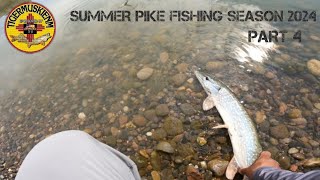 SUMMER PIKE FISHING SEASON 2024 PART 4 [upl. by Surbeck223]