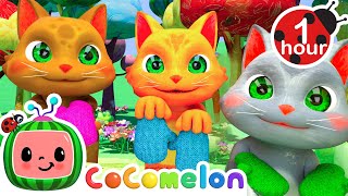 Three Little Kittens  CoComelon  Nursery Rhymes for Babies [upl. by Ruelu]