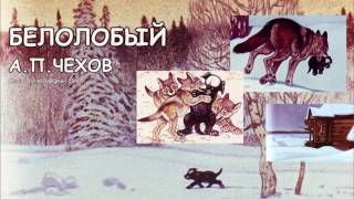 Белолобый АПЧехов Аудио книга Anton Chekhov Audiobook Belolobiy [upl. by Louisette]