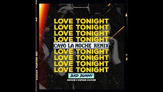 CAYO LA NOCHE x SOY PEOR x LOVE TONIGHT Paula B Remix  Bad Bunny x Quevedo x Shouse [upl. by Hanas]