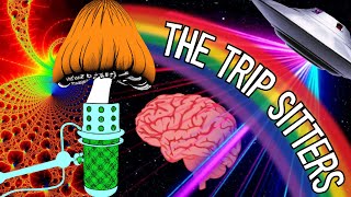 The Trip Sitters Podcast Episode 17 w Licensed Psychotherapist [upl. by Atnahc701]