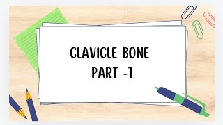 Clavicle bone part 1  anatomy clavicle bpt physiotharapist mbbs bds s bams [upl. by Ariam]