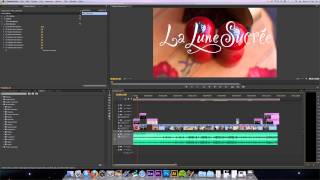 How to Deinterlace a video using Premier Pro 6 [upl. by Larochelle]