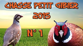 CHASSE 2015 PETIT GIBIER 1 CALIBRE 28 [upl. by Aketal]