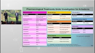 Treatments for Anhedonia [upl. by Adnamar]