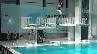 Girls A 3m  Eindhoven Diving Cup 2024 [upl. by Kip]