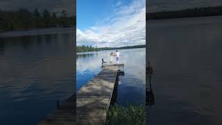 Wedding Splash swim ely lake cabin wedding [upl. by Eclud]