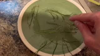 How to propagate Lilaeopsis brasiliensis micro sword [upl. by Llerral]