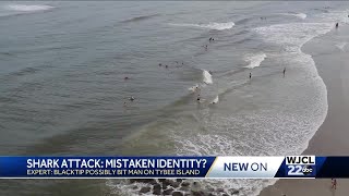 What kind of shark attacked Tybee surf instructor Lowcountry expert weighs in [upl. by Culver313]