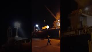 working vessel stevedoring 54 [upl. by Fleur]