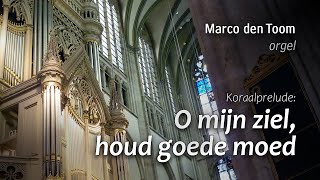 O mijn ziel houd goede moed  Marco den Toom [upl. by Kristoffer]