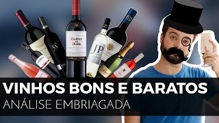 17 vinhos bons e baratos  Cabernet Merlot Espumante Branco Tinto e [upl. by Ylrac74]