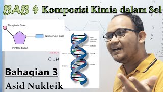 KSSM Bio Ting 4  Bab 4  Komposisi Kimia dalam Sel Part 3 Asid Nukleik [upl. by Shuma633]