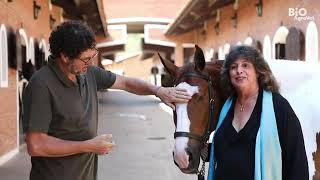 Haras Lagoinha e BioAgroVet  Mangalarga Sela Dinâmica de Andamento Conforto Beleza e Harmonia [upl. by Drucie]