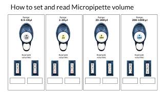 How to Set and Read Micropipette Volume [upl. by Tiffanle718]