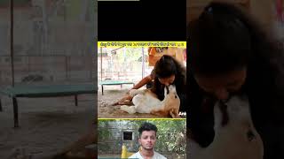 dog के दोनो पैर टूथ गया 🐕😱 viral short rescue ytshorts BBLFACTS [upl. by Natsirt]