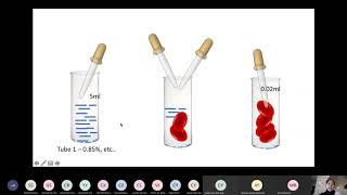 PHYSIOLOGY PRACTICAL OSMOTIC FRAGILITY TEST [upl. by Flannery]