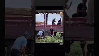 Mi primera chamba😂😂🙊 miprimerachamba humor funny video viral fypシ゚viral paratii colombia [upl. by Ahsit214]