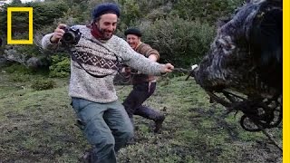 Capturing the Rugged Lives of Patagonias Gauchos [upl. by Gainer649]