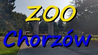 ZOO Chorzów [upl. by Aleuname796]