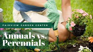 Annuals Perennials amp Biennials  Know the facts [upl. by Harvison]